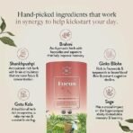 Wellbeing Nutrition Focus Tea | Memory Booster Green Tea for Focus, Concentration & Cognitive Function with Brahmi, Shankhpushpi, Ginkgo Biloba, Gotu Kola (20 Pyramid Tea Bags) - Image 3