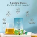 Wellbeing Nutrition Digest Green Tea | Digestive Tea with Probiotics, Digestive Enzymes, 8 Billion CFU & Fennel Seeds for better Digestion, Bloating, Gas and Acidity relief (40 Pyramid Tea Bags) - Image 4