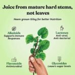 Kapiva Wild Tulsi Giloy Juice | Fresh Tulsi and Neem-grown Giloy to Support Immune Health - Fast UK Delivery - Image 6