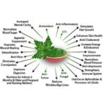 OrganoNutri Moringa Leaf Powder (200g), Moringa Oleifera, a superfood to use in Various Ways for Good Health, add in Smoothie, Flour, Sweets, etc. - Fast UK Delivery - Image 6