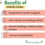 IndianJadiBooti Shirish Chaal, 100 Grams Pack - Image 4