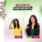 Kesh King Organic Onion Oil with Curry Leaves | Hair Fall Control Oil | Hair Oil for Hair Growth | Hair Oil Applicator for Scalp | Reduces Hair Fall Up to 98% | 200ml - Fast UK Delivery - Image 4