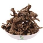 YUVIKA Akarkara Root - Anacyclus Pyrethrum - Pellitory Root (100 Grams) - Fast UK Delivery - Image 3