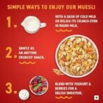 Bagrry's Crunchy Muesli 1.5kg Box| 40% Fibre Rich Oats with Bran | 82% Multi Grains, Almonds, Raisins & Honey | Breakfast Cereal | All Natural Muesli - Fast UK Delivery - Image 5