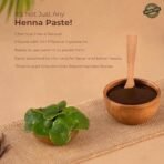 Indus Valley Bio Organic Herbal Henna with Bhringraj & Shikakai - 150 g - Fast UK Delivery - Image 7