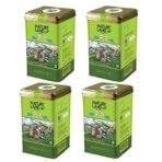 Natureland Organics Green Tea 200 gm, 100% Organic Loose Leaf Tea (Pack of 4) - Fast UK Delivery - Image 2