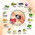 Tea Aroma - Diabe Tea | 100g | Power of 14 Ayurvedic Herbs | Organic Herbal Blend | Supports Healthy Lifestyle - Fast UK Delivery - Image 3