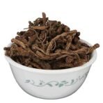YUVIKA Kutki - Katuki - Picrorhiza Kurroa - Hellabore (100 Grams) - Image 3