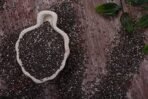 Berries And Nuts Premium Chia Seeds | Raw Chia Seeds | Chia Seeds Pouch 200 Grams - Fast UK Delivery - Image 7