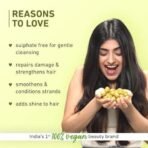 Plum Olive and Plant Keratin Shampoo for Dry, Damaged Hair, with Olive Oil, Plant Keratin, Macadamia Oil I Plant Keratin Shampoo For Women & Men | Sulphate and Paraben Free I 250ml - Fast UK Delivery - Image 3