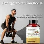 Rooted Ashwagandha Root Capsules (5% Withanolides), Pure Extract | Supports Stress, Anxiety Relief, Energy & Immunity | 60 Caps, 500 Mg Each - Fast UK Delivery - Image 6