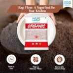 Natureland Organics Ragi Flour 500 Gm - Organic Flour - Fast UK Delivery - Image 4