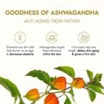 Kapiva Ashwagandha Anti-Aging Face Oil (30ml) | Plant Based Retinol | 100% Ayurvedic Oil for Wrinkles & Fine Lines | With Bakuchi Oil, Herbal Actives - Fast UK Delivery - Image 7