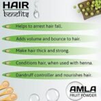 INDUS VALLEY Bio Organic Natural Amla Powder With Herbal Henna Powder Set of 2 For Hair Care - (100g *3=300g) - Fast UK Delivery - Image 7