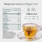 Wellbeing Nutrition Digest Green Tea | Digestive Tea with Probiotics, Digestive Enzymes, 8 Billion CFU & Fennel Seeds for better Digestion, Bloating, Gas and Acidity relief (40 Pyramid Tea Bags) - Image 7