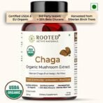 Rooted Actives, Siberian Chaga Mushroom Extract, Certified Organic| 35% Beta Glucans - Lab verified | Antioxidant & Vitality support (60 Veg Caps), - Fast UK Delivery - Image 5