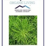 Mystique Hills Organic Horsetail Tea,100 g - Fast UK Delivery