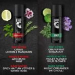 Beardo Legacy & Godfather Perfume Body Spray For Men 150ml Each (Set of 2) Citrus Aromatic Spicy | Deodorant | Deo For Men | Long Lasting Perfume| Christmas gift for men | Gift For Friends | Gift for Men - Fast UK Delivery - Image 3