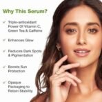 mCaffeine 15% Vitamin C Face Serum for Glowing Skin with Green Tea & 1% Caffeine | Reduces Dark Spots & Pigmentation | Revives Dull Skin & Protects Against Sun Damage | Serum for Men & Women - Fast UK Delivery - Image 4