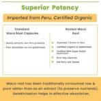 Rooted Actives Maca Root Powder With Reishi Mushroom Extract (90 Veg Caps, 750 Mg) | Stamina, Virility, Hormonal Support (Maca Root With Reishi Mushroom) - Fast UK Delivery - Image 4