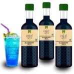 Dhampure Speciality Blueberry Fruit Mocktail Cocktail Vodka, Rum, Gin Mixer, Makes 10-12 Drinks Each Bottle, 900Ml (300Ml X 3 Bottles) Pour Add Stir & Sip Syrup Non Alcoholic Beverage - Fast UK Delivery - Image 2