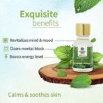 Ayouthveda Peppermint Essential Oil for Skin & Hair | Aromatherapy Kit for Stress Relief & Relaxation | 100% Pure & Natural Therapeutic Grade |Can Be Used as Air purifier (Pack Of 1; 15ml) - Fast UK Delivery - Image 4