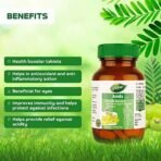 DABUR Amla Tablet - Health Booster | Rich in Antioxidants | Provides Protection against Infections | Pure herbs 60 tabs ( Get 20 tabs free) - Fast UK Delivery - Image 4