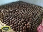 Thanjai Natural 1Kg Pure Organic Palm Jaggery (Karupatti) 100% Natural Block Jaggery | No Added Sugar | No Impurities - 1000g - Fast UK Delivery - Image 4