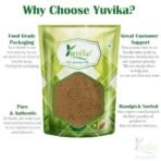 YUVIKA Harad Choti Powder - Kali Harad - Black Himej - Terminalia Chebula - Myrobalan 100 Grams - Fast UK Delivery - Image 4