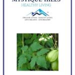 Mystique Hills Balloon Vine Herbal Tea (100 g)