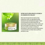 Indus Valley Intense Hydrating Under Eye Cream - Enriched with Guwahati Anise (50 ml) - Fast UK Delivery - Image 6
