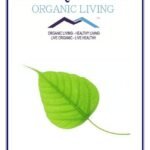 Mystique Hills Organic Sacred Fig Tree Bark Powder,Peepal Tree Bark,Arasa Ilai , 100 g