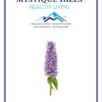 Mystique Hills Agastache rugosus Powder (100 g)