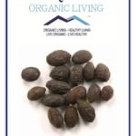 Mystique Hills Organic Saw Palmetto Berries Powder 50 g