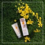 Plum Chamomile & White Tea Sheer Matte Day Cream SPF50 PA+++ | Lightweight Moisturizer | Broad Spectrum UVA/UVB Protection | For Normal to Combination Skin | 100% Vegan & Cruelty-Free | 60ml - Fast UK Delivery - Image 3