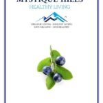 Mystique Hills Blueberry Powder (50 g)