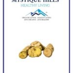 Mystique Hills Tree Turmeric, Coscinium fenestratum (100 g)
