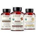 Rooted Active Naturals Organic Stress Relief Combo, Lion's Mane, Reishi, Mushroom Complex, 30 Days Supply (Combo of 3) - Fast UK Delivery