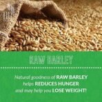 R R AGRO FOODS Naturally Grown Raw Barley (Jou, Jai, Yav) 3 Kg Pack of 1 - Fast UK Delivery - Image 6