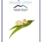 Mystique Hills Eucalyptus Flower Tea Powder - Fast UK Delivery