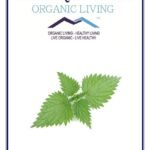 Mystique Hills Organic Shade Dried Himalayan Nettle Root Herbal Tea, 100 g - Fast UK Delivery
