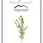 Mystique Hills Prostrate Knotgrass Powder. 50 g