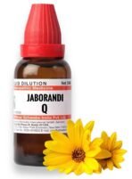HOMOCOS Jaborandi Mother Tincture Q (30ml) - Set of 1 Bottle