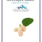 Mystique Hills White Mulberry Bark Powder (100 g)