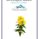 Mystique Hills Evening Primrose Powder (50 g)