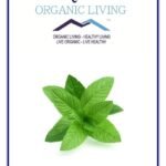 Mystique Hills Spearmint Tea Powder, 200 g - Fast UK Delivery