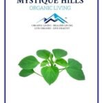 Mystique Hills Indian Nettle Leaf Herbal Tea, Indian Copperleaf 100 g - Fast UK Delivery