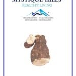 Mystique Hills Poria Cocos Mushroom Powder (50 g)