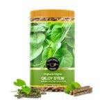 TEACURRY Organic Giloy Sticks (50 Gram) - Helps with Recovery, Improve Digestion & Body Wellness, Suports Overall Well-being - 100% Natural Ingredients - Fast UK Delivery