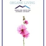 Mystique Hills Organic Malva sylvestris Powder 50 g